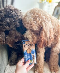 Dental Sticks - Jabolko & Borovnica 3