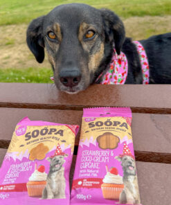 Dental Sticks - Jagoda & Kokos 2