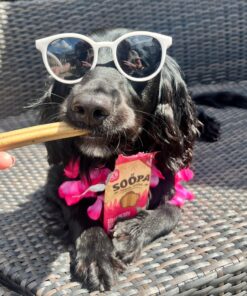 Dental Sticks - Jagoda & Meta 2