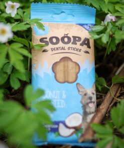 Dental Sticks - Kokos & Chia semena 2