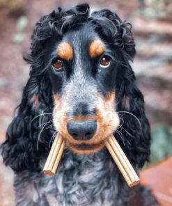 Dental Sticks - Kokos & Chia semena 3