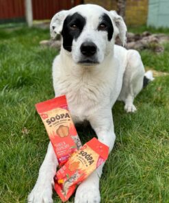 Dental Sticks - Mango & Malina 2