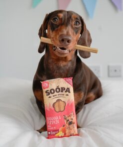 Dental Sticks Mini - Banana & Buča 2