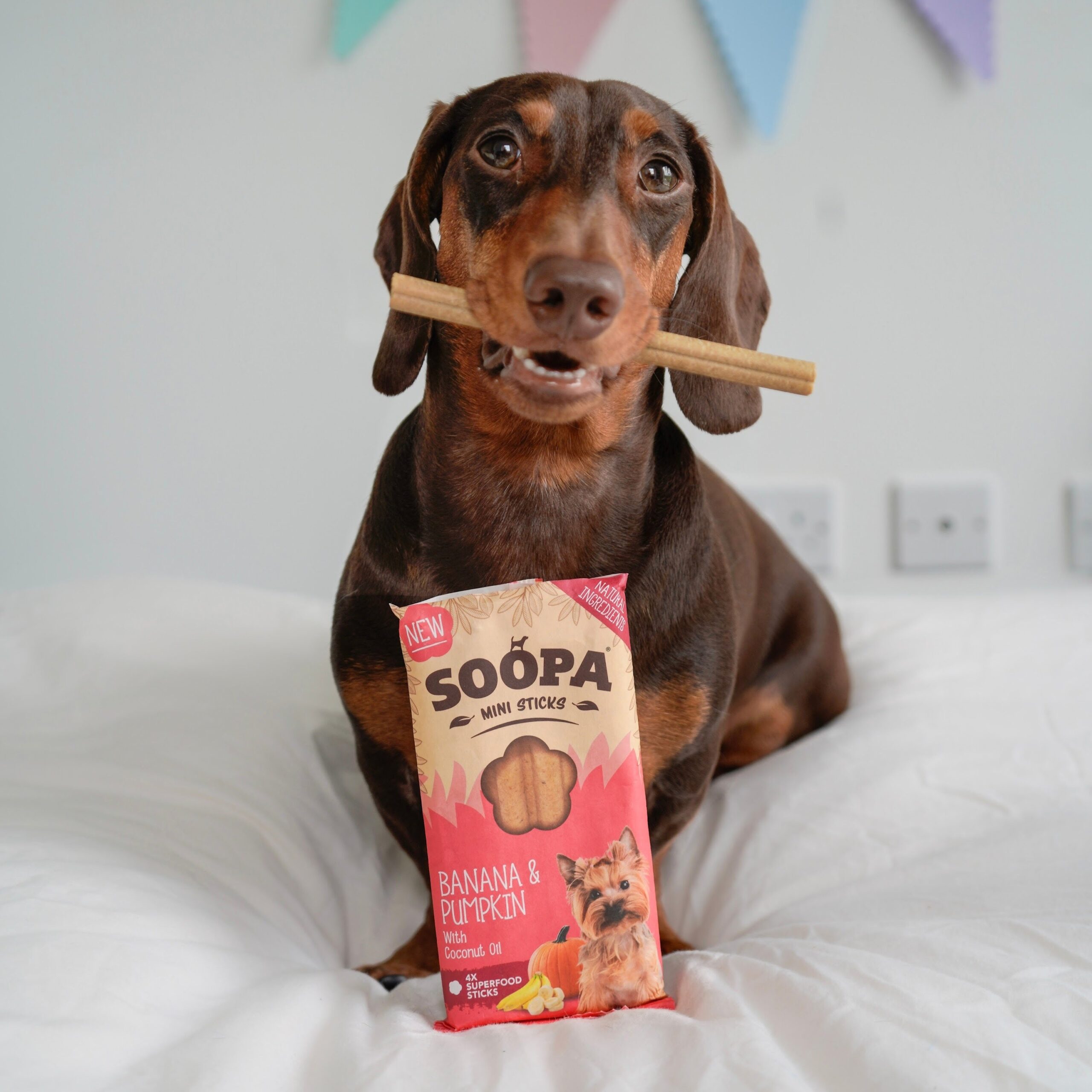 Dental Sticks Mini - Banana & Buča 2