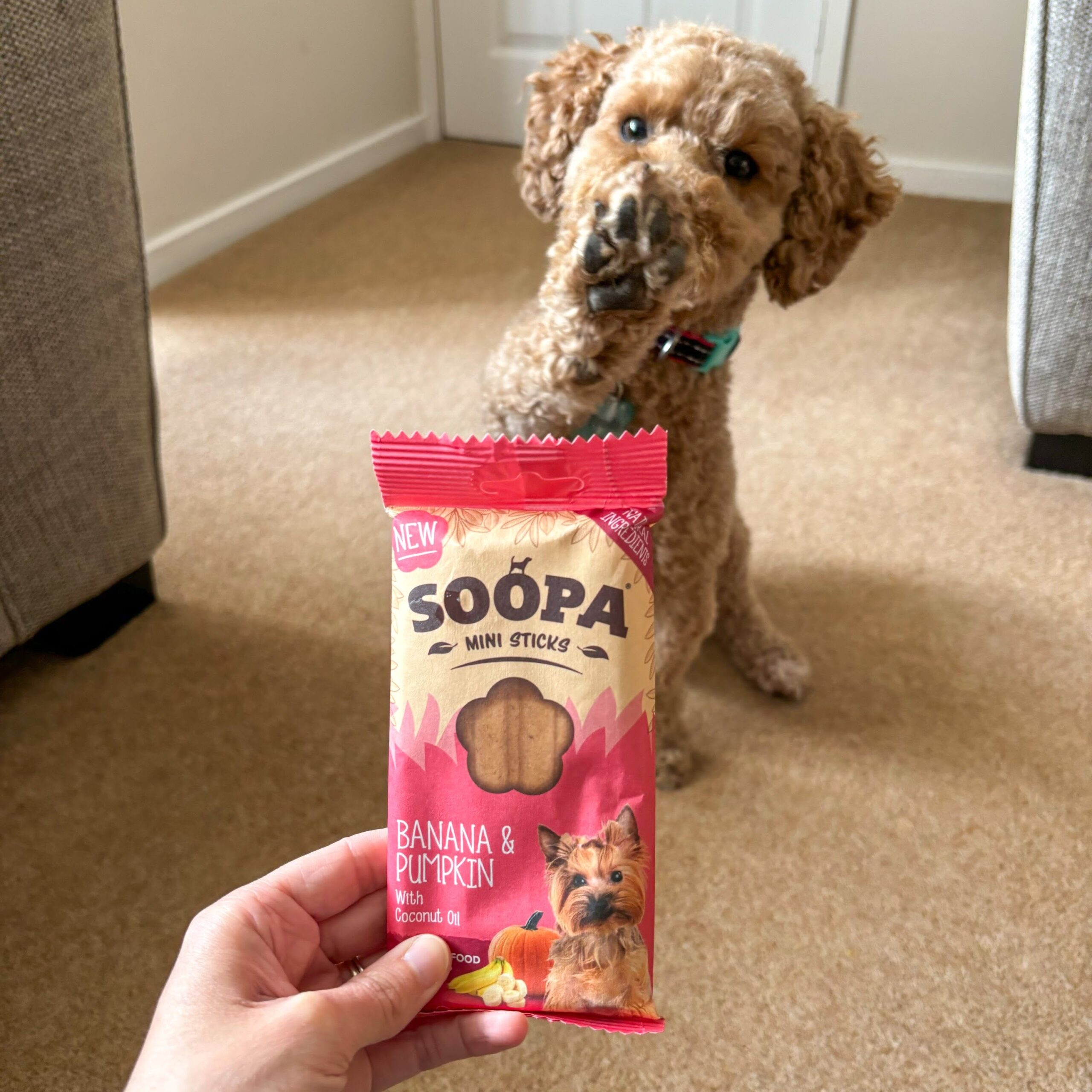 Dental Sticks Mini - Banana & Buča 3