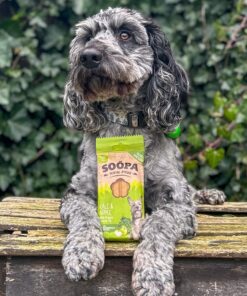 Dental Sticks - Ohrovt & Jabolko 2