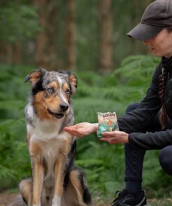 Healthy Bites - Ananas & Kokos 2