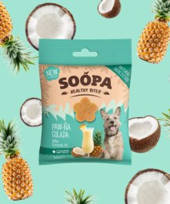 Healthy Bites - Ananas & Kokos