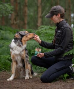Healthy Bites - Ananas & Kokos 3