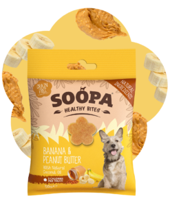 Healthy Bites - Banana & Arašidovo maslo 2