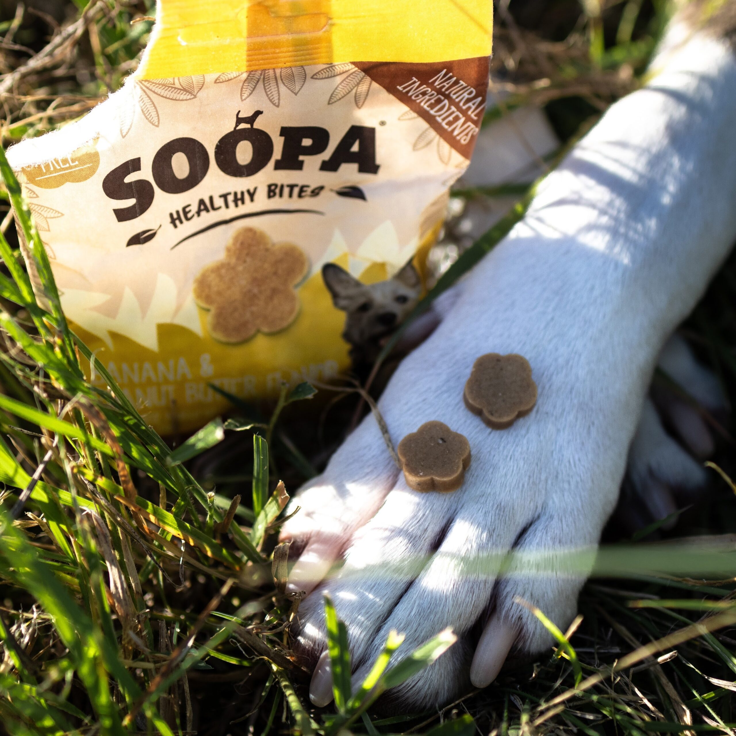 Healthy Bites - Banana & Arašidovo maslo 3