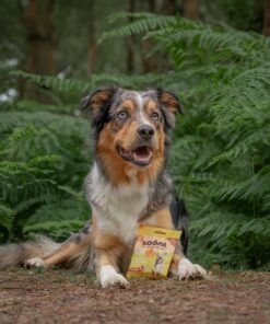 Healthy Bites - Banana & Arašidovo maslo 4