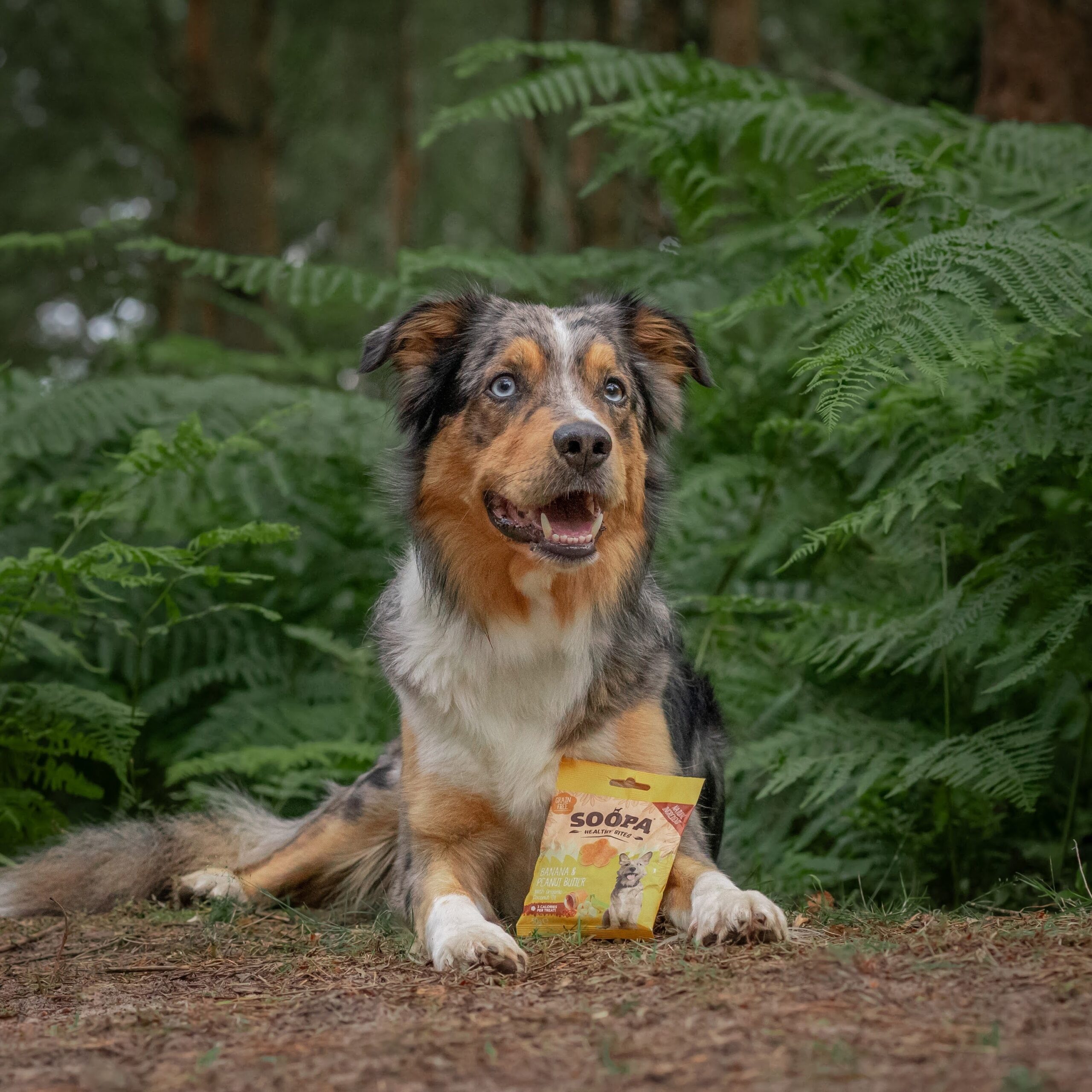 Healthy Bites - Banana & Arašidovo maslo 4