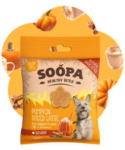 Healthy Bites - Buča & Cimet & Kokosovo mleko 2