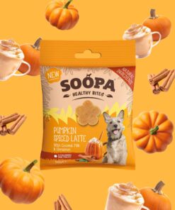 Healthy Bites - Buča & Cimet & Kokosovo mleko