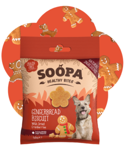 Healthy Bites - Ingver & Brusnica 2