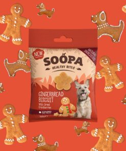 Healthy Bites - Ingver & Brusnica