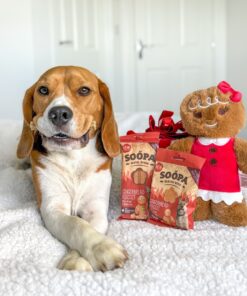 Healthy Bites - Ingver & Brusnica 4