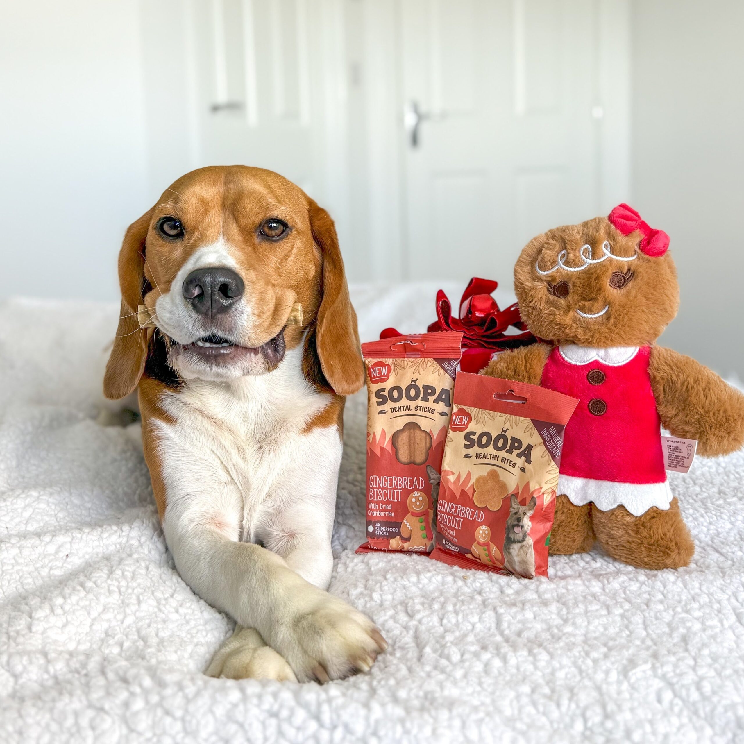 Healthy Bites - Ingver & Brusnica 4