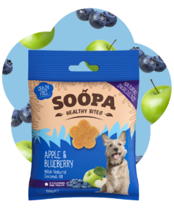 Healthy Bites - Jabolko & Borovnica 2