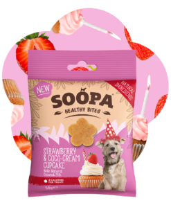 Healthy Bites - Jagoda & Kokos 2