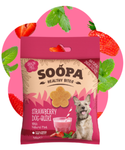 Healthy Bites - Jagoda & Meta 2