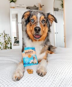 Healthy Bites - Kokos & Chia semena 2