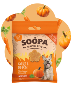 Healthy Bites - Korenje & Buča 2