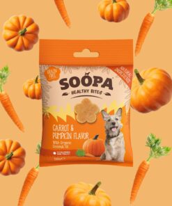 Healthy Bites - Korenje & Buča