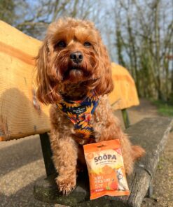 Healthy Bites - Korenje & Buča 3