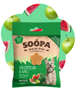 Healthy Bites - Lubenica & Jabolko 2