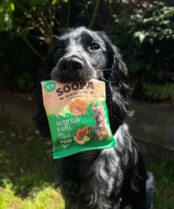 Healthy Bites - Lubenica & Jabolko 3