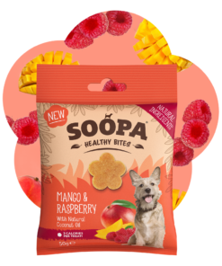 Healthy Bites - Mango & Malina 2