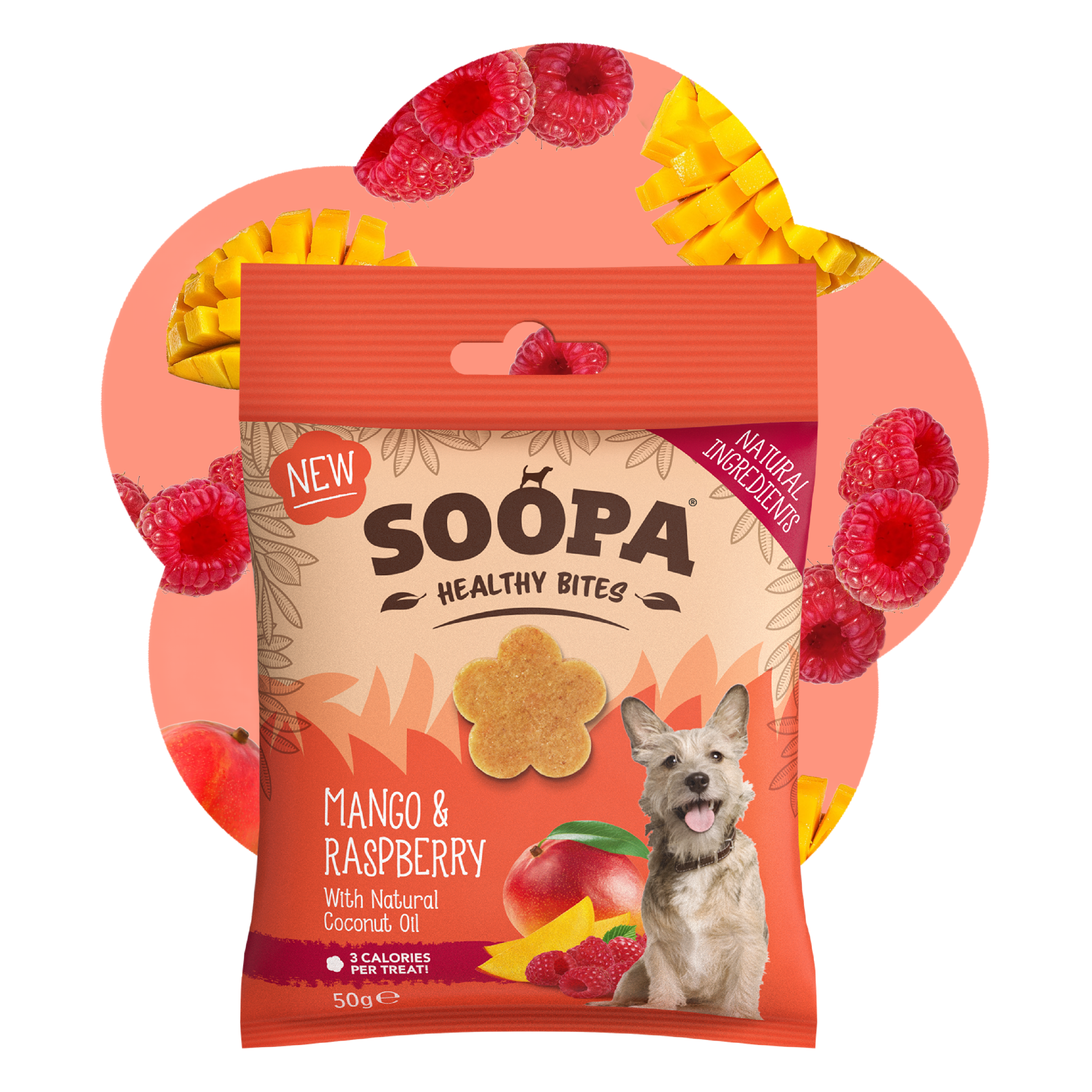 Healthy Bites - Mango & Malina 2