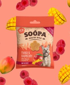 Healthy Bites - Mango & Malina