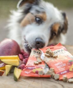 Healthy Bites - Mango & Malina 4