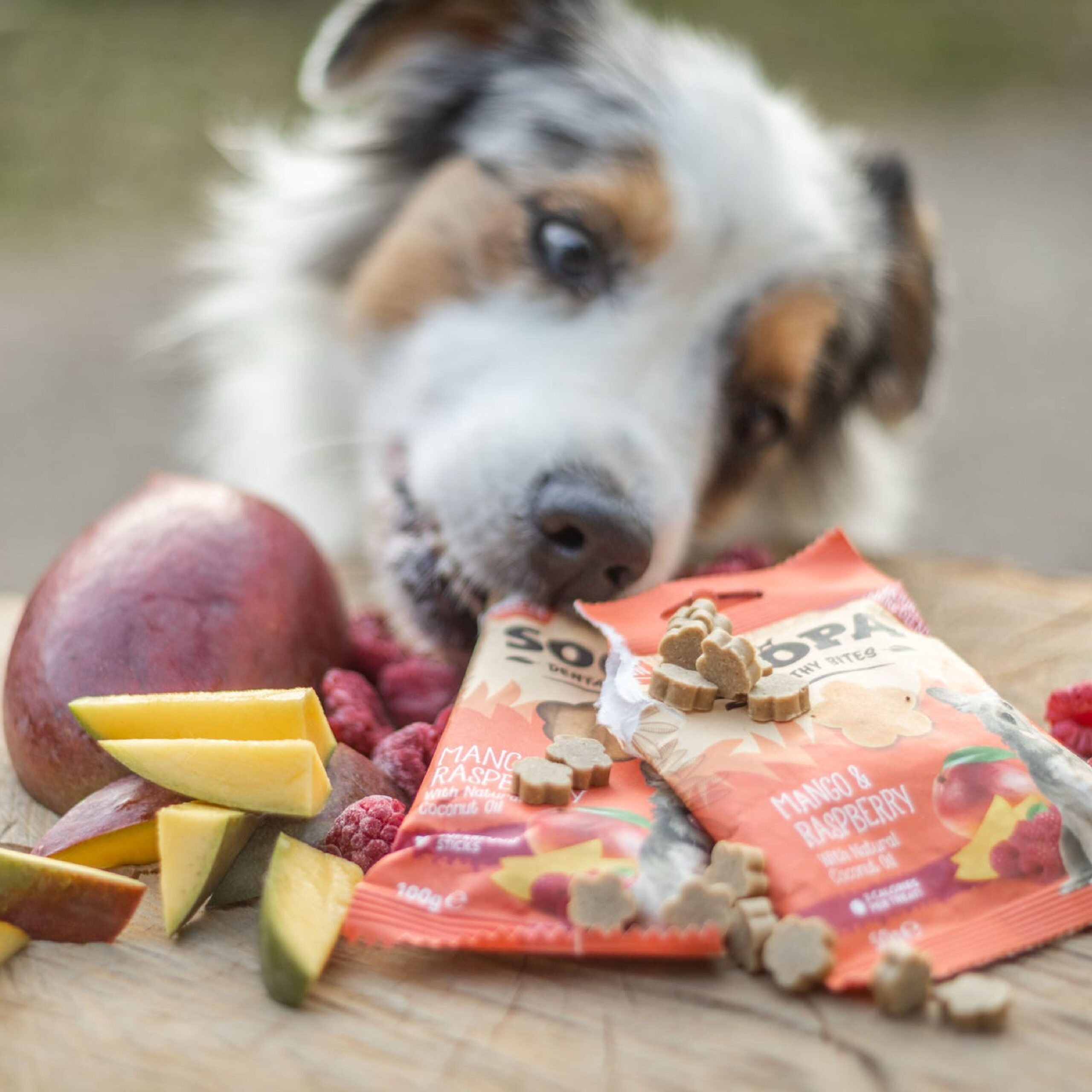 Healthy Bites - Mango & Malina 4