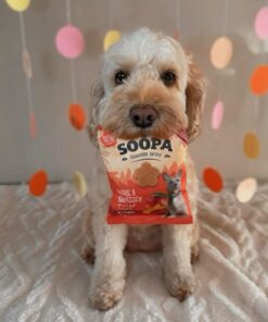 Healthy Bites - Mango & Malina 5