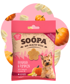 Healthy Bites Mini - Banana & Buča 2