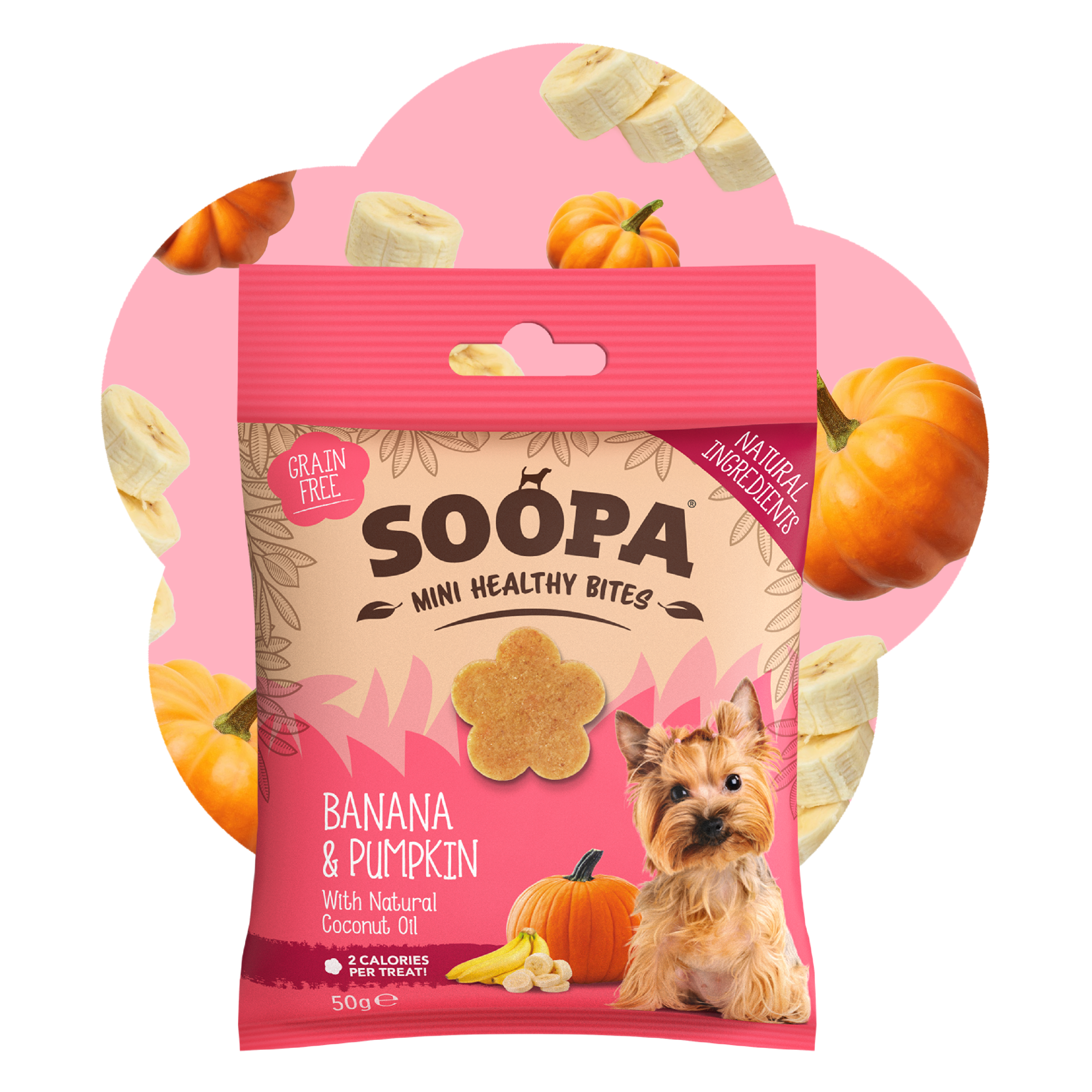 Healthy Bites Mini - Banana & Buča 2