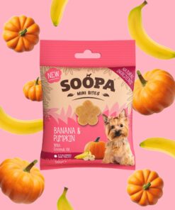 Healthy Bites Mini - Banana & Buča