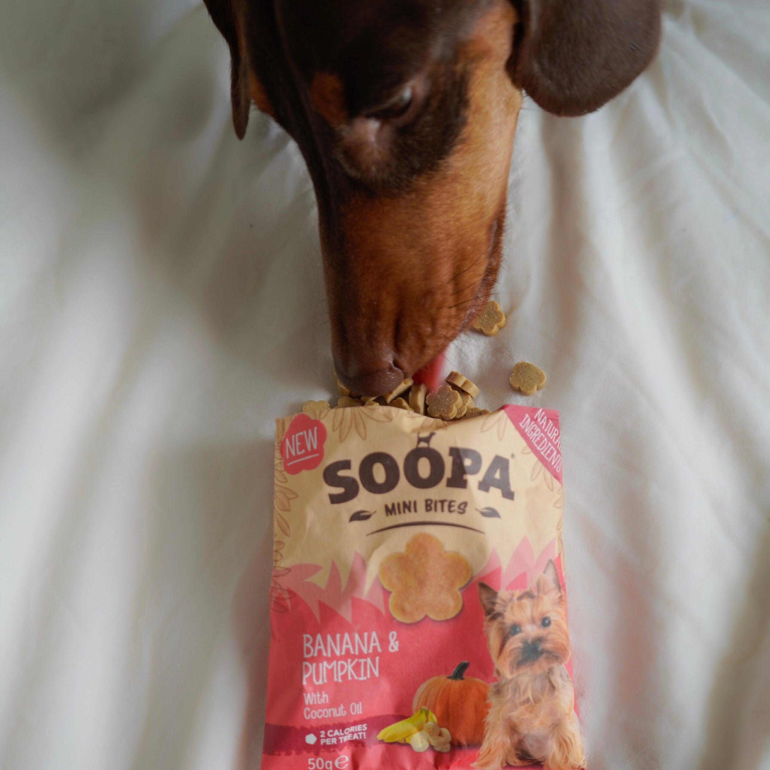 Healthy Bites Mini - Banana & Buča 3