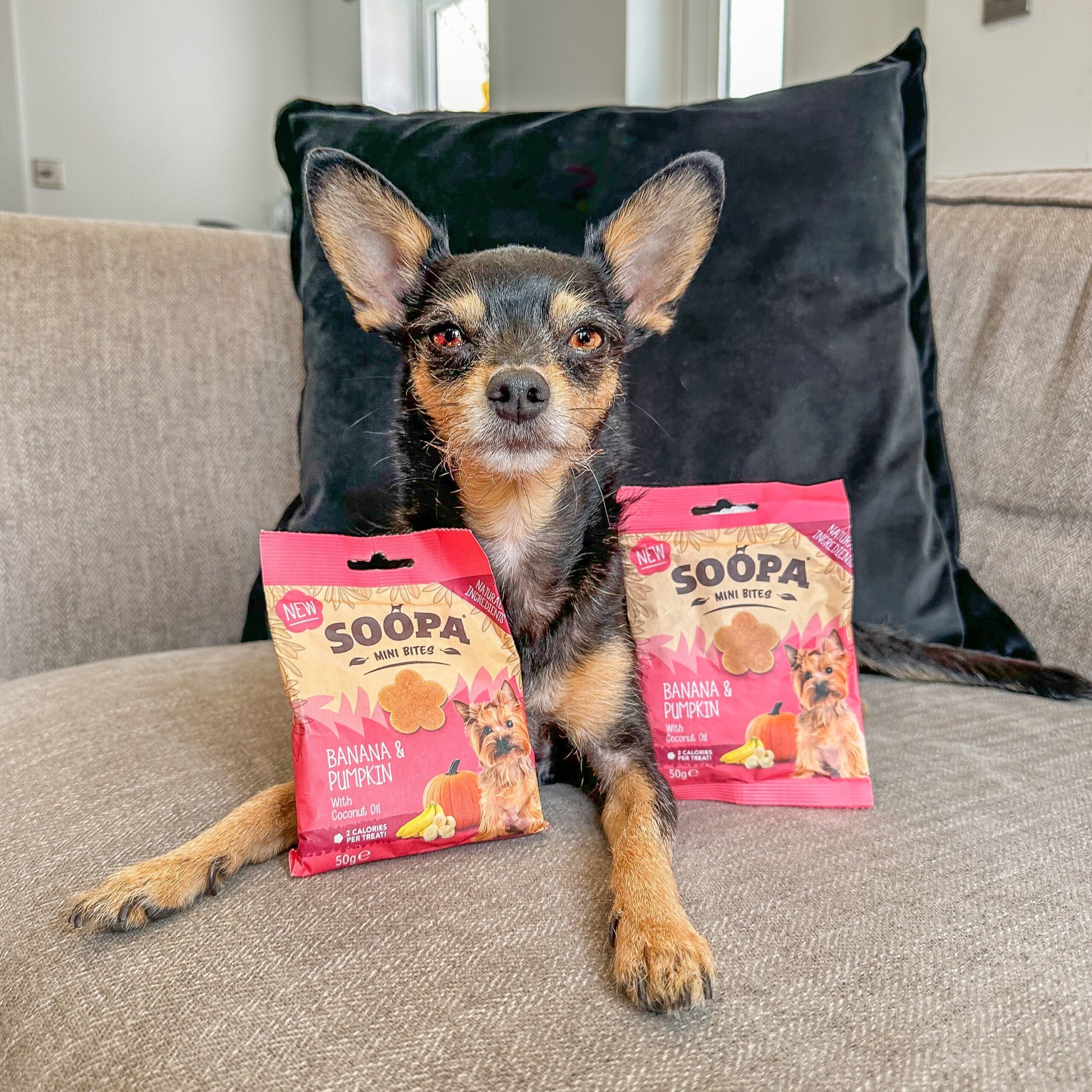 Healthy Bites Mini - Banana & Buča 4