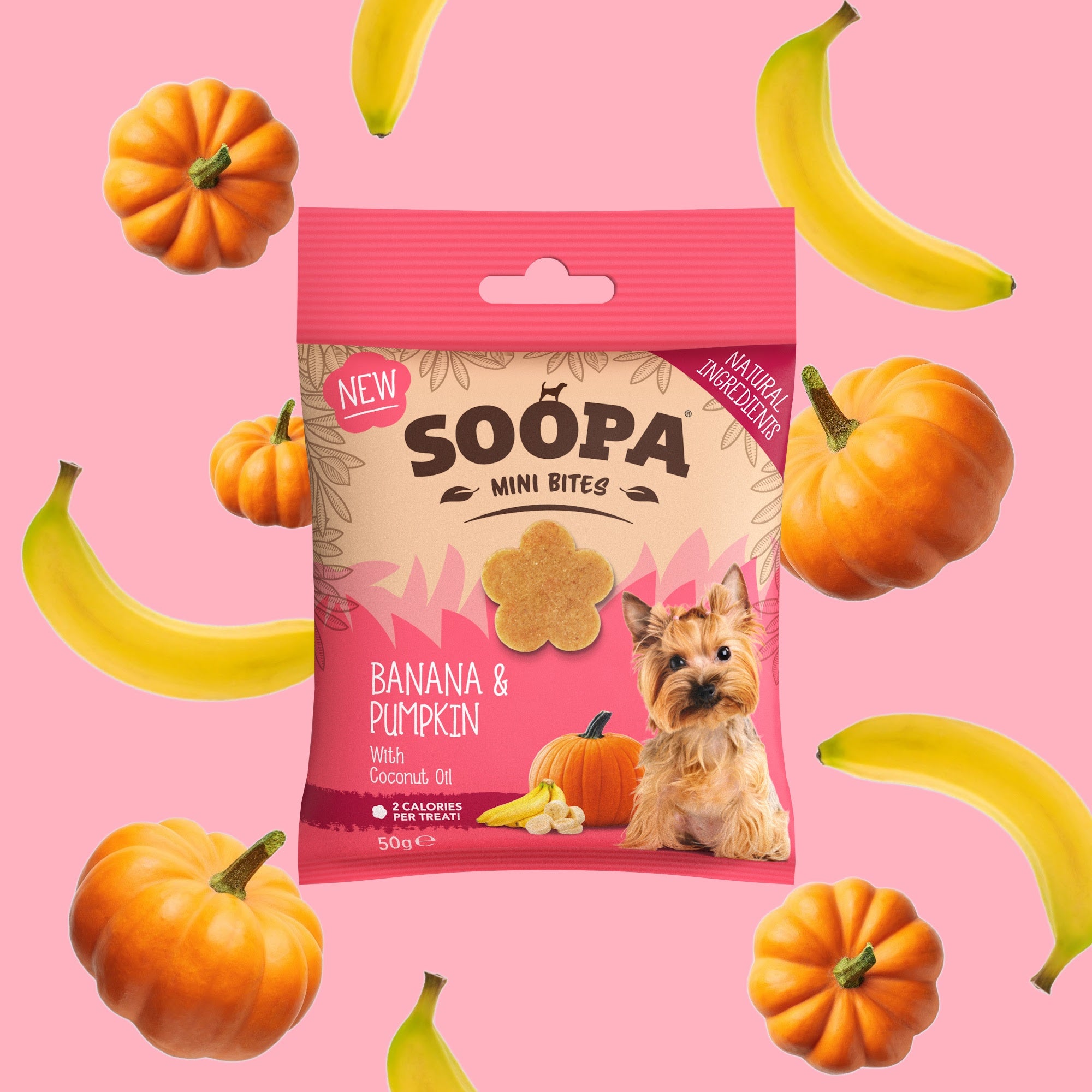 Healthy Bites Mini - Banana & Buča