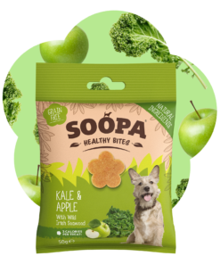 Healthy Bites - Ohrovt & Jabolko 2