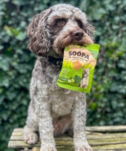 Healthy Bites - Ohrovt & Jabolko 3