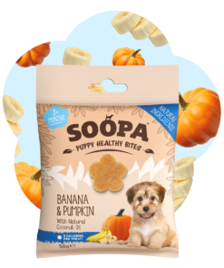 Healthy Bites Puppy - Banana & Buča 2