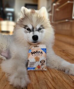 Healthy Bites Puppy - Banana & Buča 3