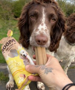 Jumbo Dental Sticks - Banana & Arašidovo maslo 4