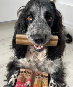 Jumbo Dental Sticks - Brusnica & Sladki krompir 3